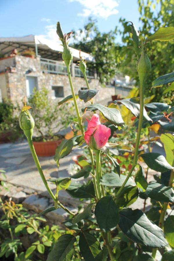 B&B Ca Dei Fre Genoa Ngoại thất bức ảnh